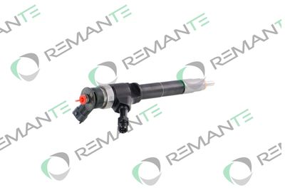 INJECTOR REMANTE 002003001319R 2