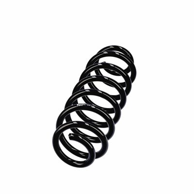 ARC SPIRAL EIBACH R13605 2