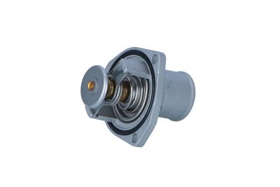 TERMOSTAT LICHID RACIRE NRF 725296 11