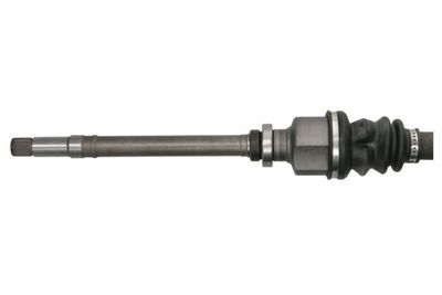 Drivaksel PASCAL G2P006PC