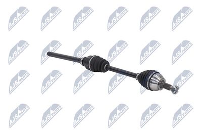 PLANETARA NTY NPWCT081 11