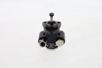 BOSCH Kraftstoffpumpe
