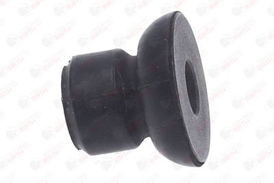 BUCSA ARBORE DE DIRECTIE BIRTH 40641 4