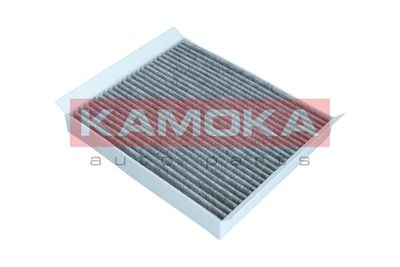 Filter, cabin air F504501