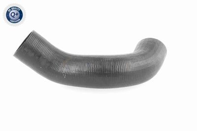 FURTUN EAR SUPRAALIMENTARE ACKOJA A380298 5