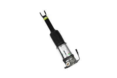 LUFTFEDERBEIN Arnott AS2958 56