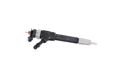 INJECTOR REMANTE 002003001319R 43