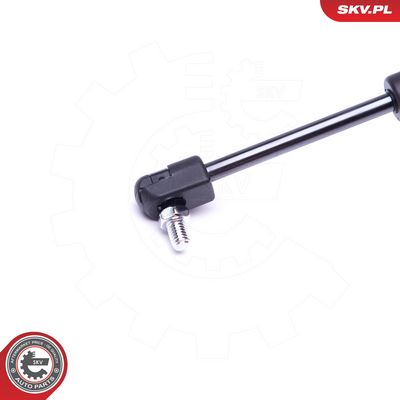 Dujinė spyruoklė, gaubtas