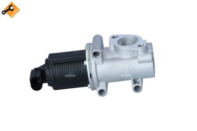 EGR Valve 48334