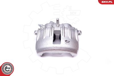 Brake Caliper 50SKV173