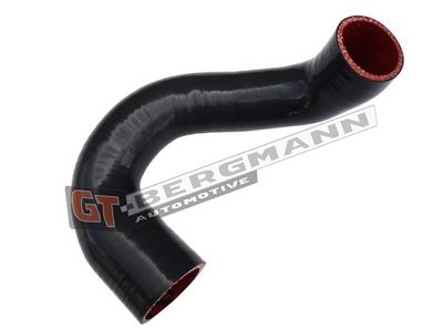 GT-BERGMANN Automotive Kompresoriaus padavimo žarna