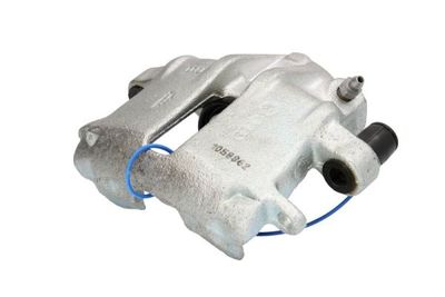 Jarrusatula LAUBER 77.2243
