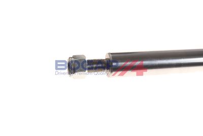 AMORTIZOR BOGAP V3410103 4