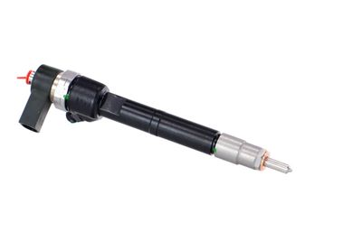 INJECTOR REMANTE 002003001100R 44