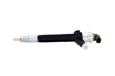 INJECTOR REMANTE 002003000086R 11