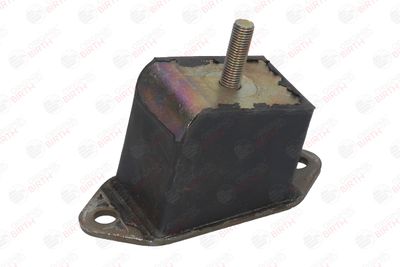 SUPORT MOTOR BIRTH 5224 6