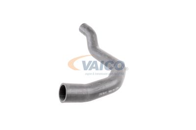 FURTUN EAR SUPRAALIMENTARE VAICO V420566 15