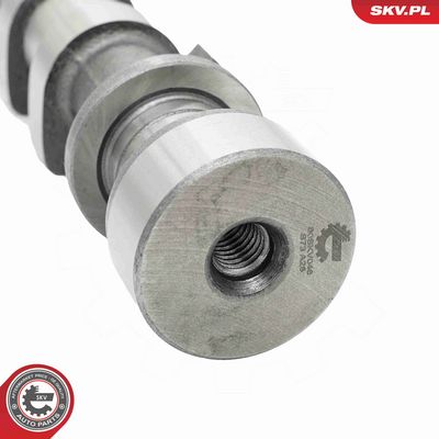 AX CU CAME ESEN SKV 80SKV046 3