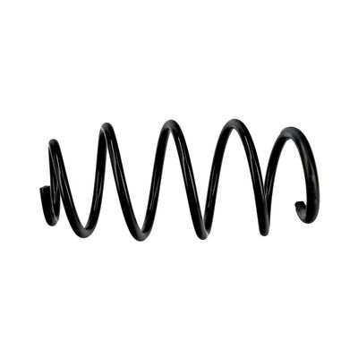 ARC SPIRAL EIBACH R10096 19