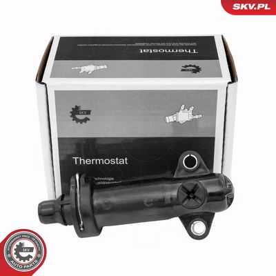 TERMOSTAT LICHID RACIRE