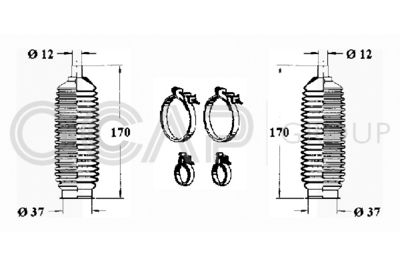 ANSAMBLU BURDUF DIRECTIE OCAP 0902529