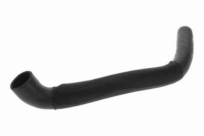 FURTUN EAR SUPRAALIMENTARE