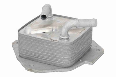 RADIATOR ULEI ULEI MOTOR ACKOJA A32600010 4