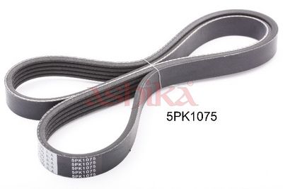 пистов ремък ASHIKA 112-5PK1075