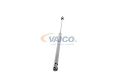 GASFEDER KOFFER-/LADERAUM VAICO V220207 50