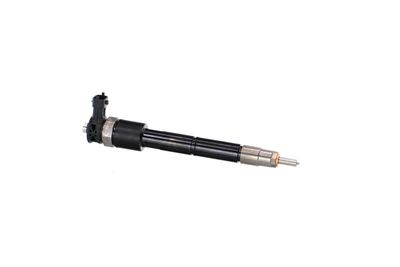 INJECTOR REMANTE 002003002307R 42