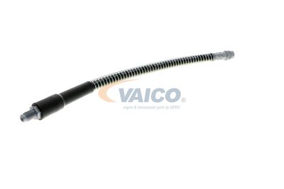 FURTUN FRANA VAICO V464113 54