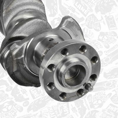 ARBORE COTIT ET ENGINETEAM HK0211 3