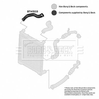 Charge Air Hose Borg & Beck BTH1533