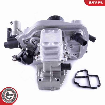 SUPAPA EGR ESEN SKV 14SKV237 1