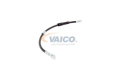 FURTUN FRANA VAICO V104138 45