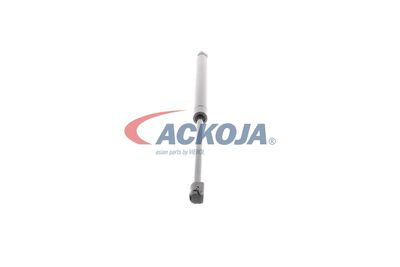 AMORTIZOR PORTBAGAJ ACKOJA A320076 25