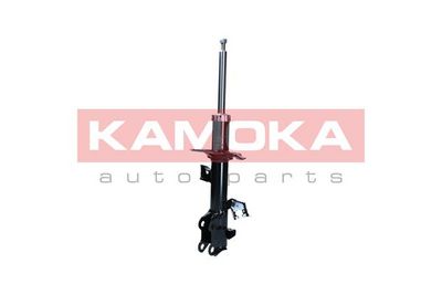 Shock Absorber 2001138