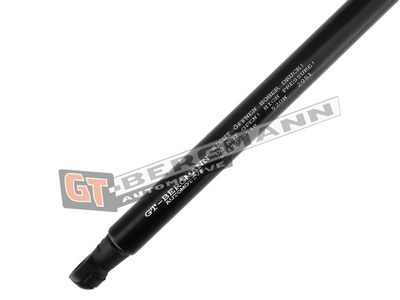 GT-BERGMANN Automotive - Vzpera kufra RENAULT , GT72-010
