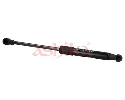 ZSA02025