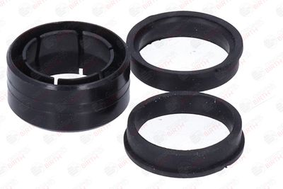 BUCSA ARBORE DE DIRECTIE BIRTH 4144 10