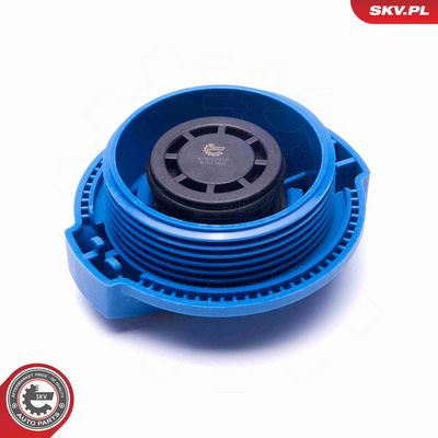 BUSON VAS EXPANSIUNE ESEN SKV 61SKV012 1