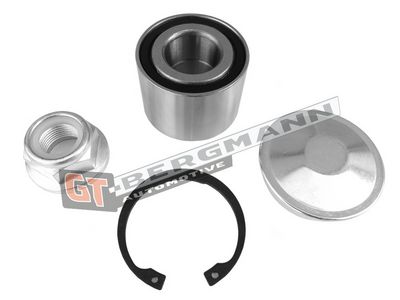 GT-BERGMANN Automotive Rato guolio komplektas