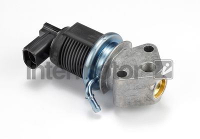 EGR Valve Intermotor 14317