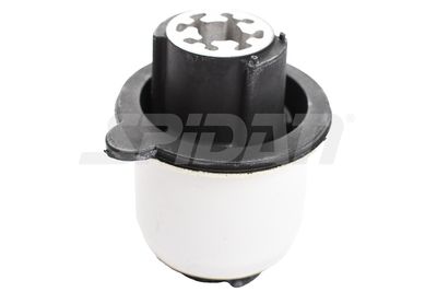 LAGERUNG ACHSKöRPER