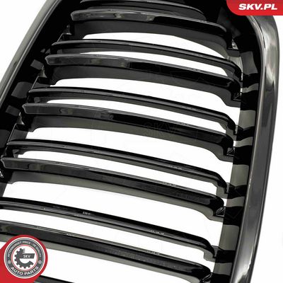 GRILA RADIATOR ESEN SKV 66SKV066 5