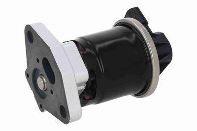 SUPAPA EGR ACKOJA A26630011 3