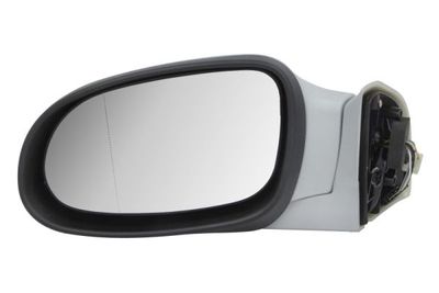 Exterior Mirror 5402-04-1129799