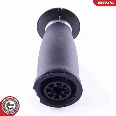 ARC PNEUMATIC DIRECTIE ESEN SKV 58SKV021 2