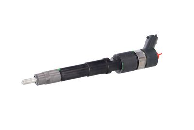 INJECTOR REMANTE 002003001182R 6