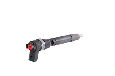 INJECTOR REMANTE 002003001146R 33